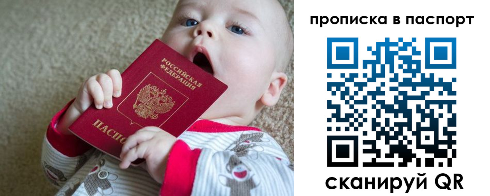 купить прописку в Жукове